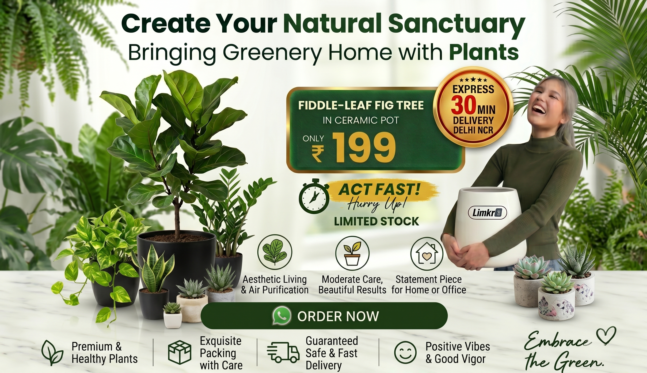 Limkrt Special Offers